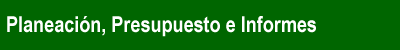 planeación ppto inf