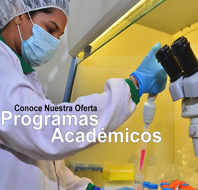 oferta programas postgrados1a