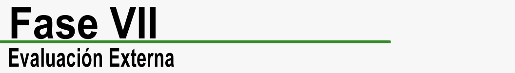 Fase VII Evaluación externa