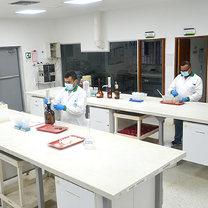 area quimica1