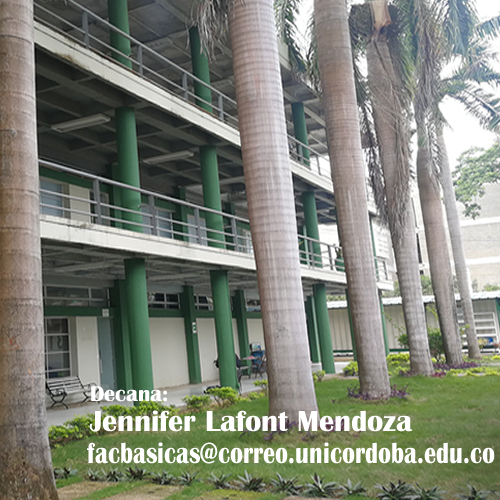 fachada fac basicas1.fw