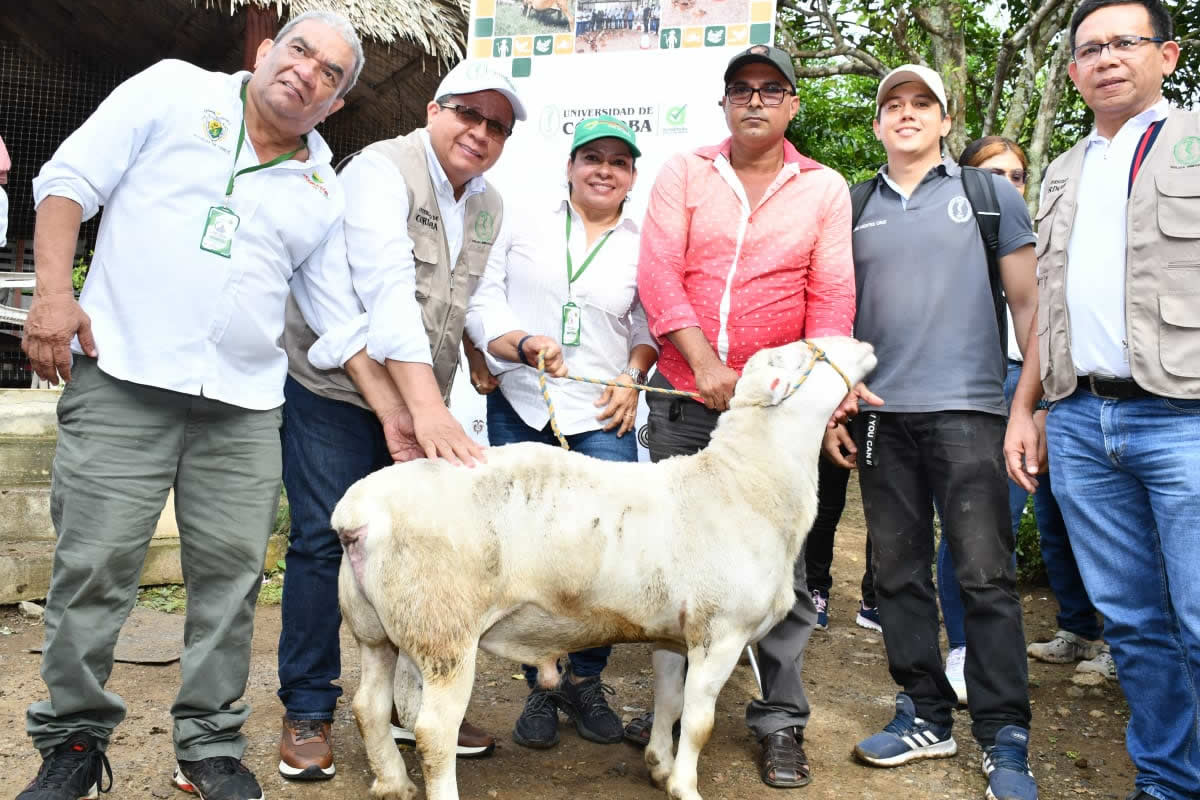 El rector de Unicórdoba, Dr. Jairo Torres Oviedo, entrega un reproductor ovino de alto rendimiento a los campesinos de la zona.