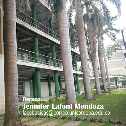 fachada-fac-basicas33