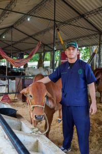 Estudiantes de MVZ, apoyaron las actividades de cuidado de los ejemplares que se expusieron y sometieron a concurso en la Feria de la Ganadería.