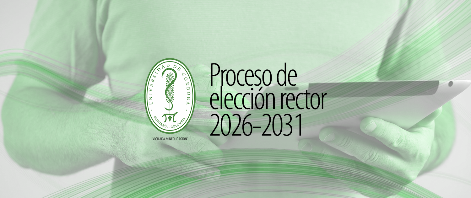 proceso elección rector