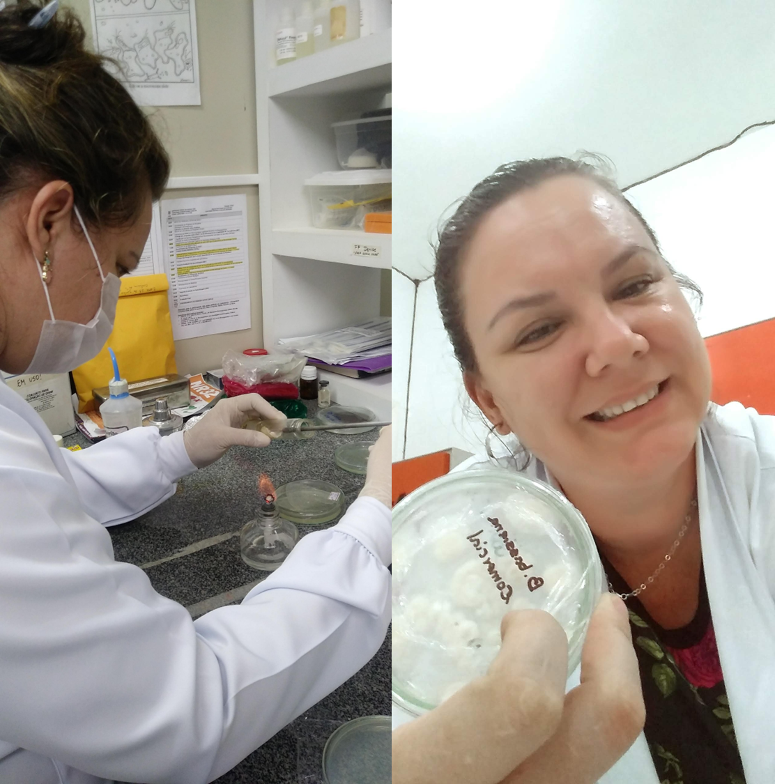 Gracias a convocatorias internas de esta alma mater se financiará la continuidad de este proyecto, explorando el uso de hongos de la región para la obtención de las biomoléculas para el control de insectos.