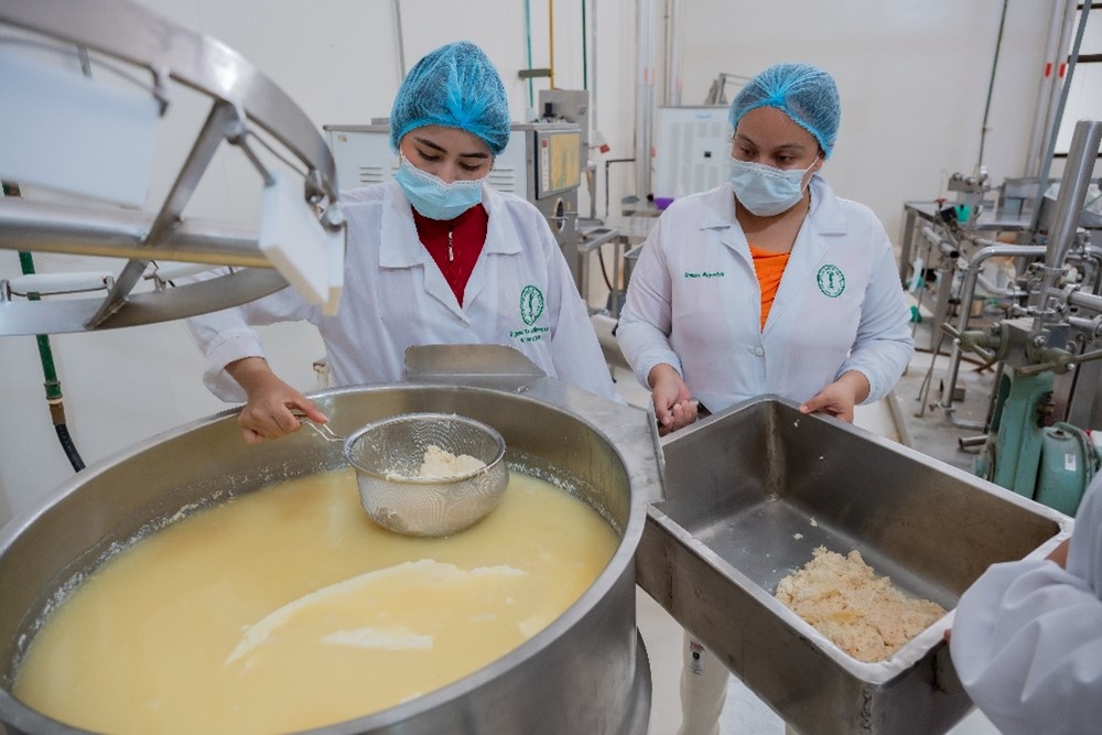 El Programa se encuentra en condiciones de diseñar e implementar un protocolo integral que permita garantizar la correcta gestión de los alimentos y del agua potable.