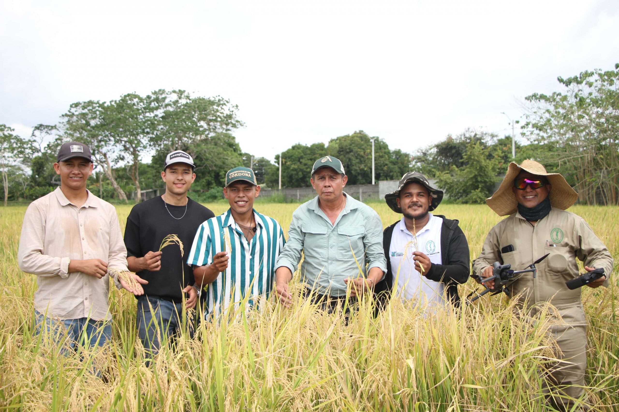 Estudiantes que sueñan ser empresarios del arroz ya recogen su primera cosecha en Unicórdoba